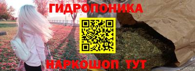 молекула духа Уссурийск
