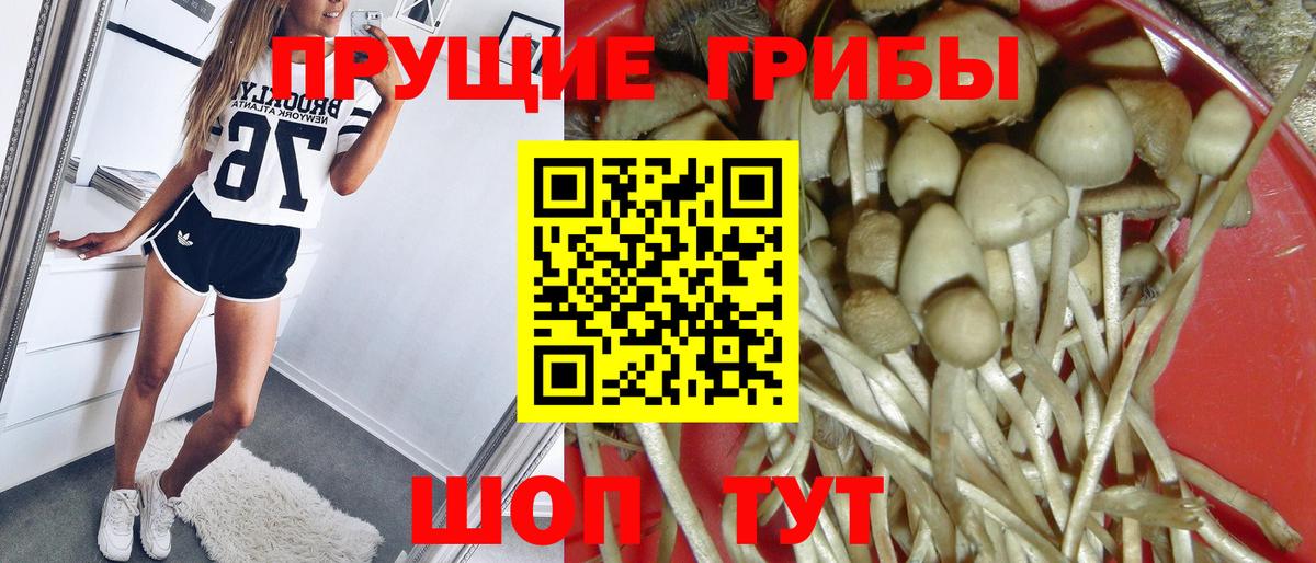Галлюциногенные грибы Psilocybine cubensis  купить наркоту  Лосино-Петровский  Галлюциногенные грибы Magic Shrooms  Вход с VPN 