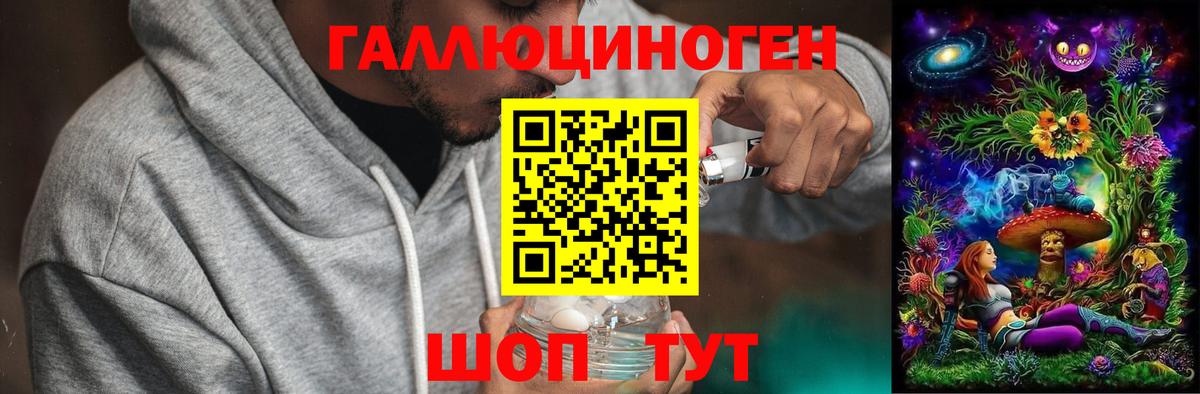 Псилоцибиновые грибы Psilocybe Лосино-Петровский