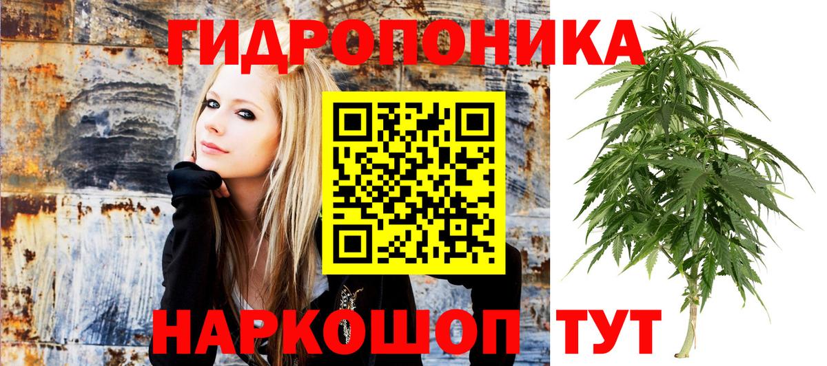 Бошки Шишки семена  Канабис White Widow  Лосино-Петровский  Бошки Шишки MAZAR  Вход с VPN 